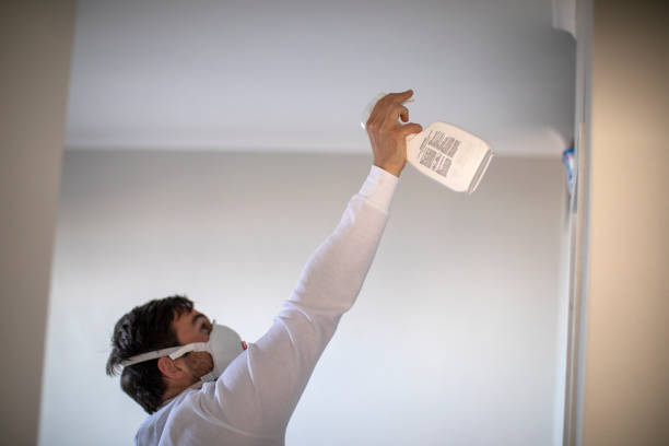Best Mold Testing and Inspection Services in Bethalto, IL