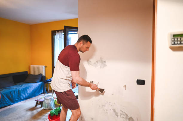 Best HVAC Mold Remediation in Bethalto, IL